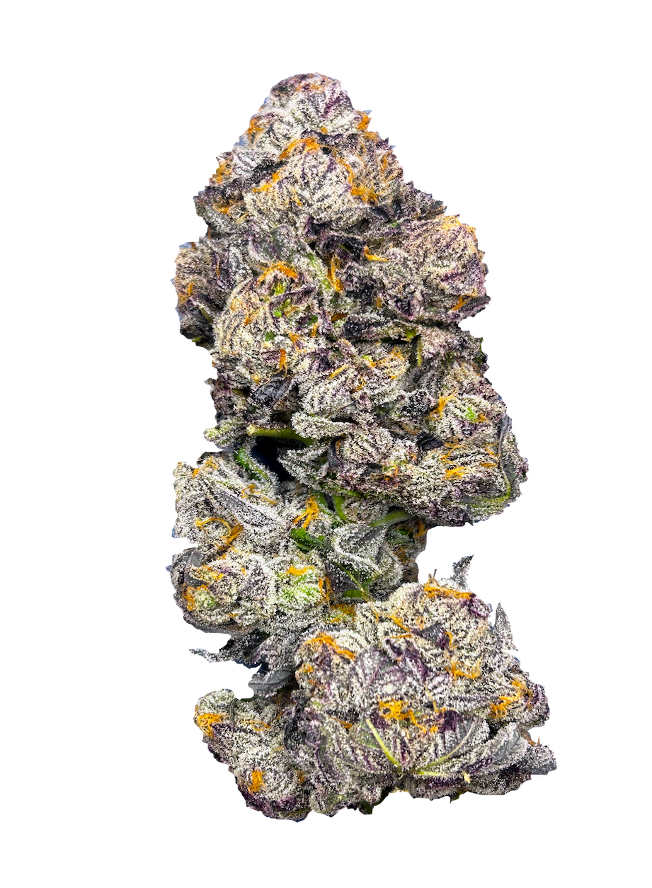 Castle Rock Farms - GastroPop