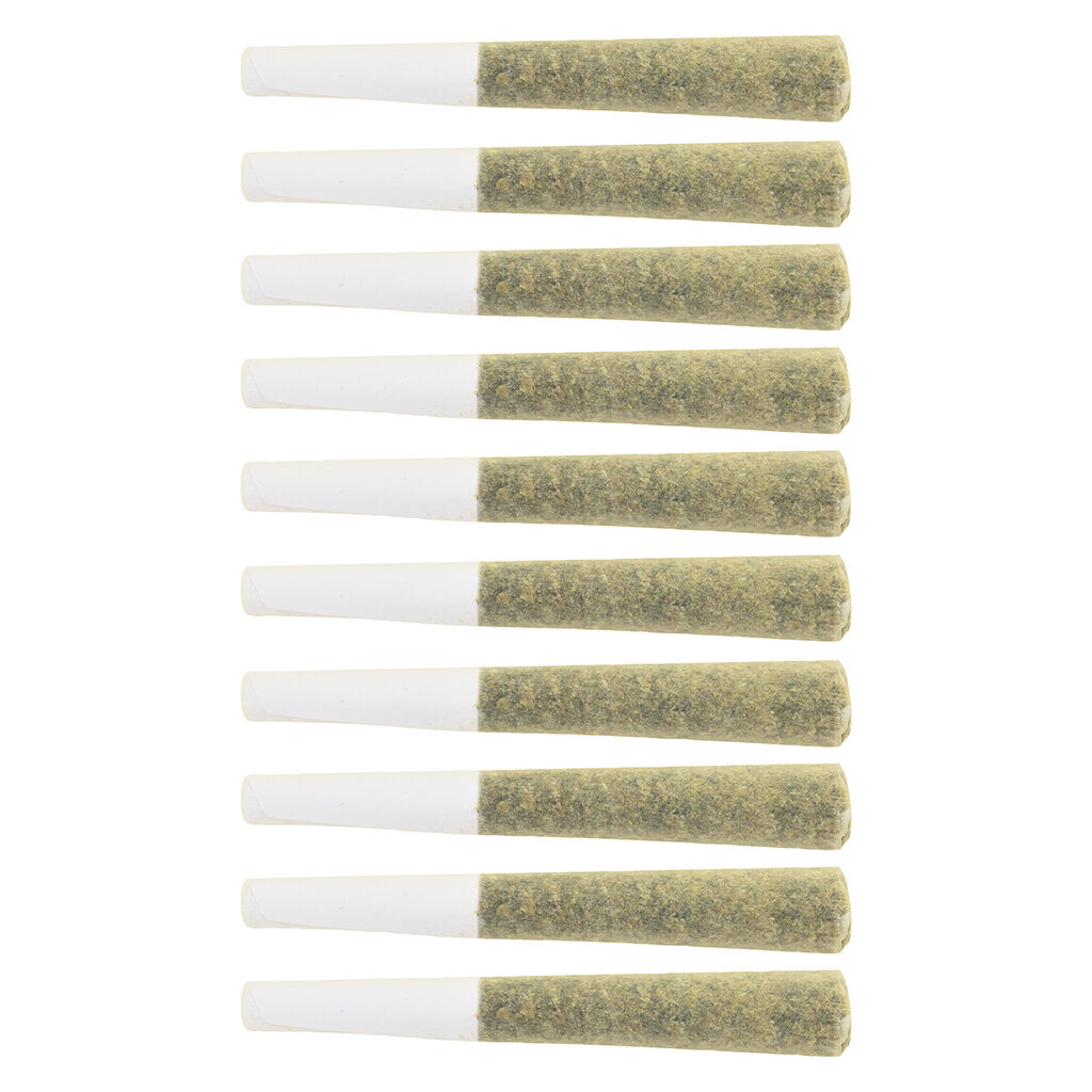 The Loud Plug - Lemon Gelato Pre-Roll