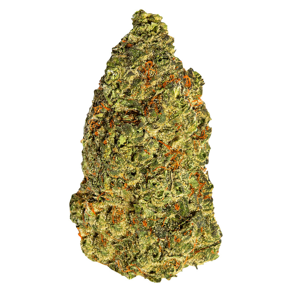 South Point - Turbo Diesel