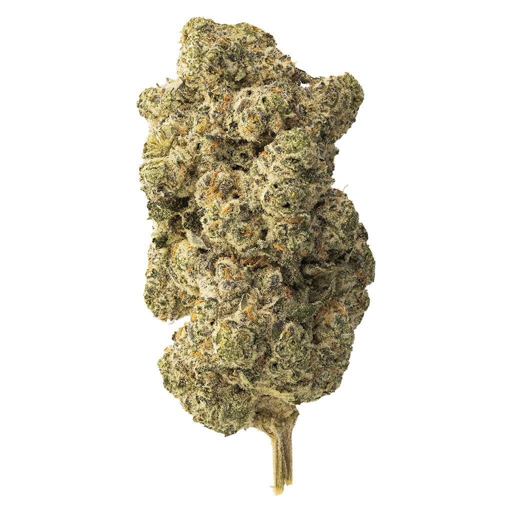 The Loud Plug - Lemon Gelato