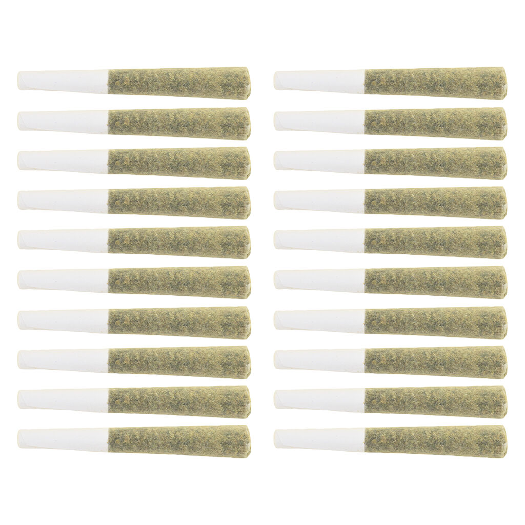 The Loud Plug - Multi G Pack Pre-Roll